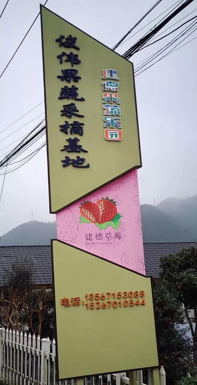 首届中国草莓展莓好邂逅在建德