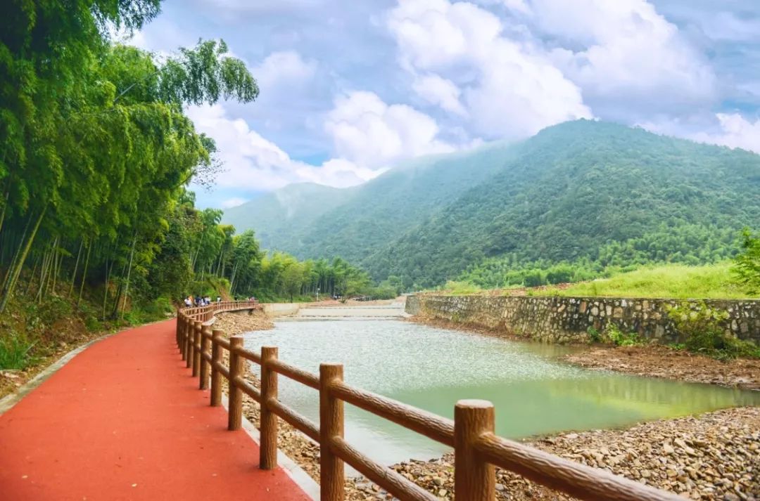 川步村位于长兴西北部,这里植被茂密,层峦叠翠,村中小路蜿蜒,路两旁