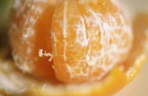 每天吃一碗熱熟的橘子，身體會收獲哪些好處？終於有人說出來了 未分類 第3張