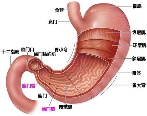 反酸、燒心、嗓子有異物怎麼回事？可能是這種「病」導致，要當心 健康 第1張