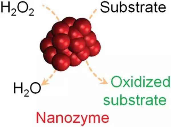 南京大学魏辉课题组chem soc rev:新一代的人造酶—拥有酶特性的