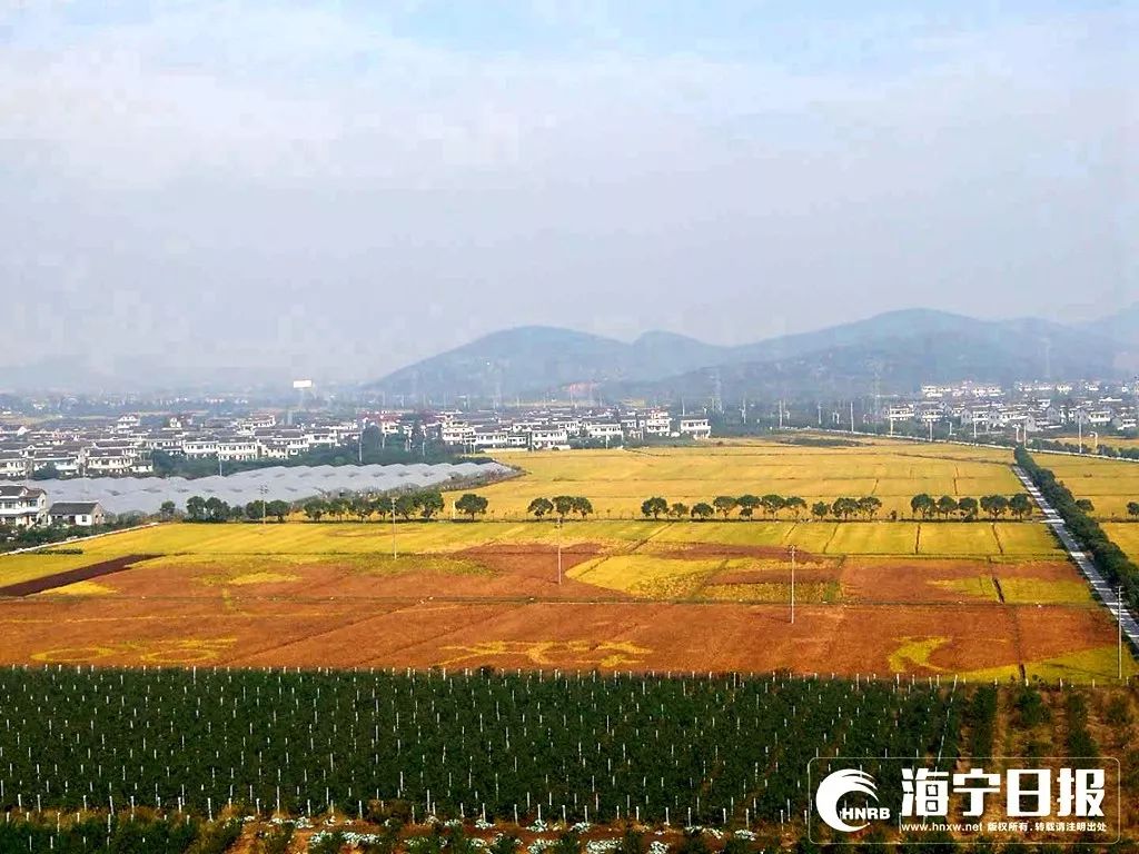 兴城村位于海宁市长安镇北郊,沪杭高速公路,高速铁路越境而过,离沪杭