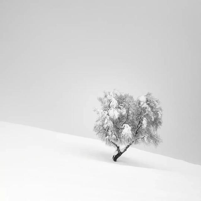 扑面而来的孤独!极简雪景大片欣赏!