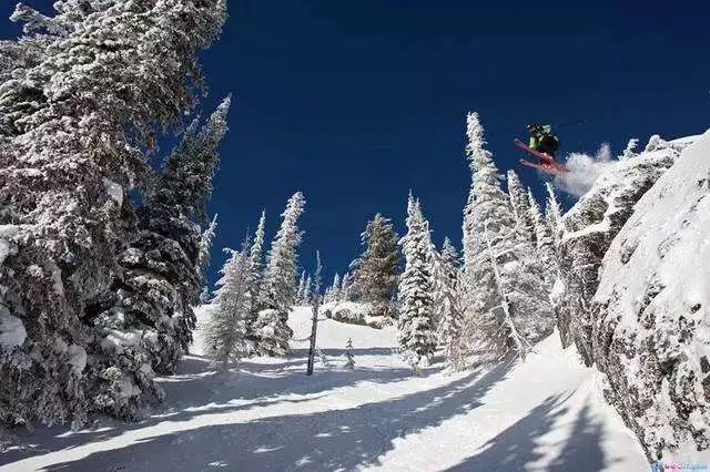 谈球吧体育不会凹造型就别去滑雪了现在时尚滑雪方式长这样(图4)