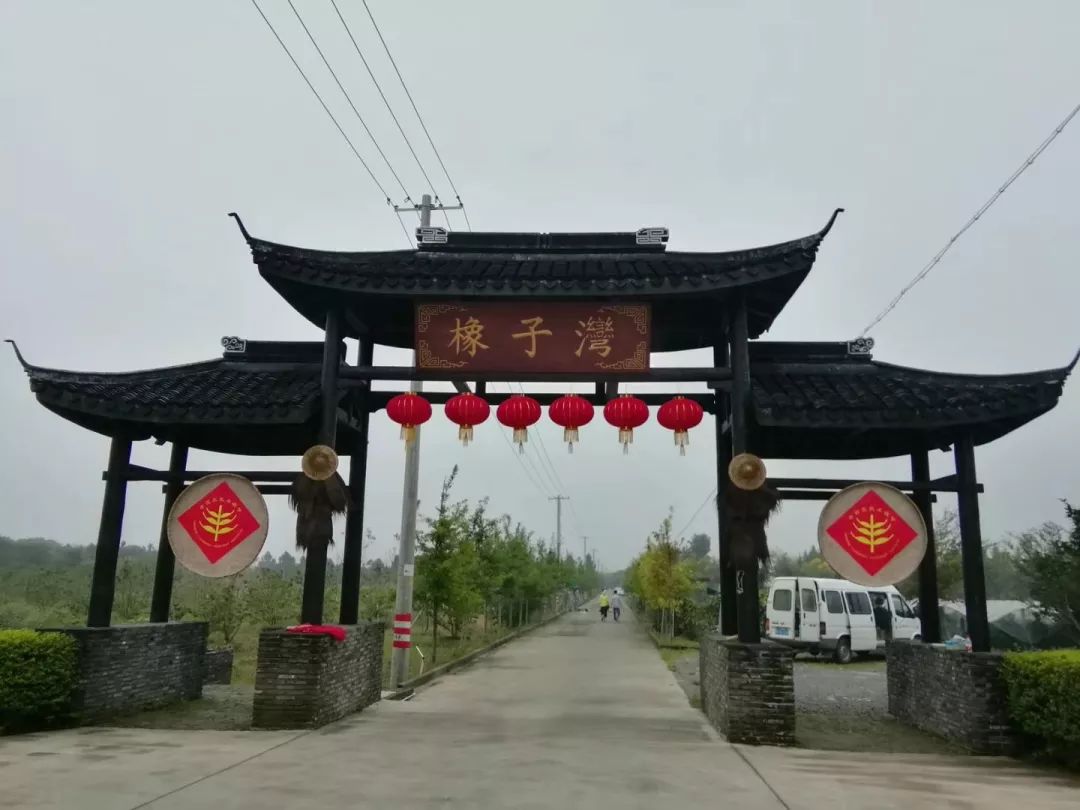 桐乡橡子湾乡村旅游开发有限公司桐乡运北秸秆利用专业合作社桐乡市新