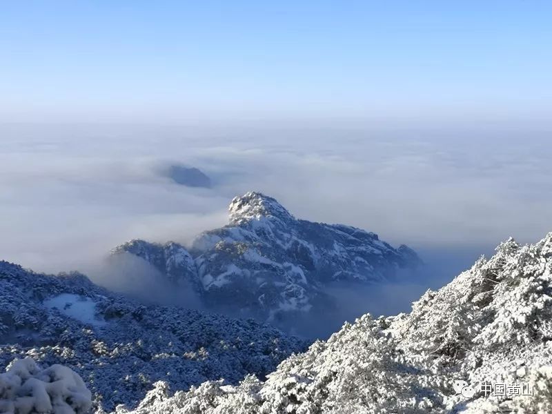 黄山市人口分布_老街in巷,画里宏村,黄山不止有黄山