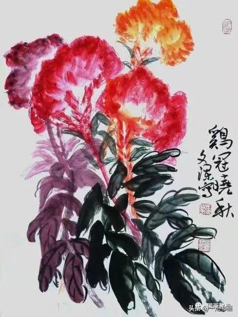 写意鸡冠花国画专辑