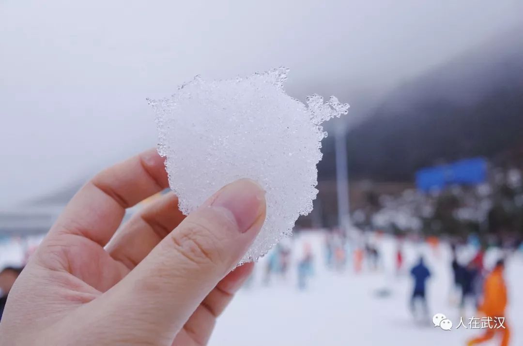 换好服装,把东西储存好后,就可以去领取雪鞋,雪仗,雪板,进场.