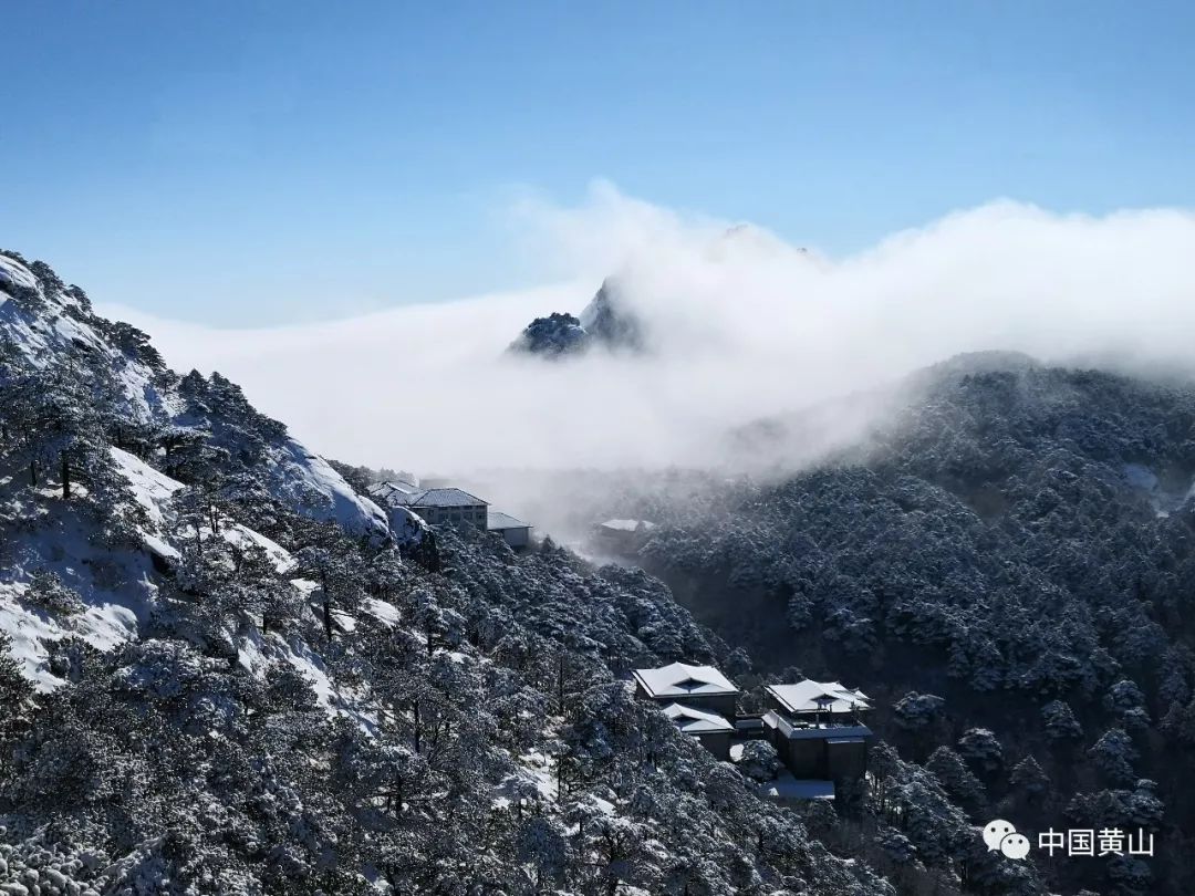 黄山市人口分布_老街in巷,画里宏村,黄山不止有黄山