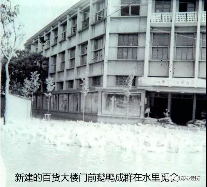 【老明光记忆】嘉山县1991年大水 我县军民抗洪抢险的精彩瞬间