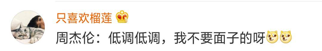 天後張惠妹大變樣，「L」變成「XXXL」，這是「腫」麼了？ 娛樂 第15張