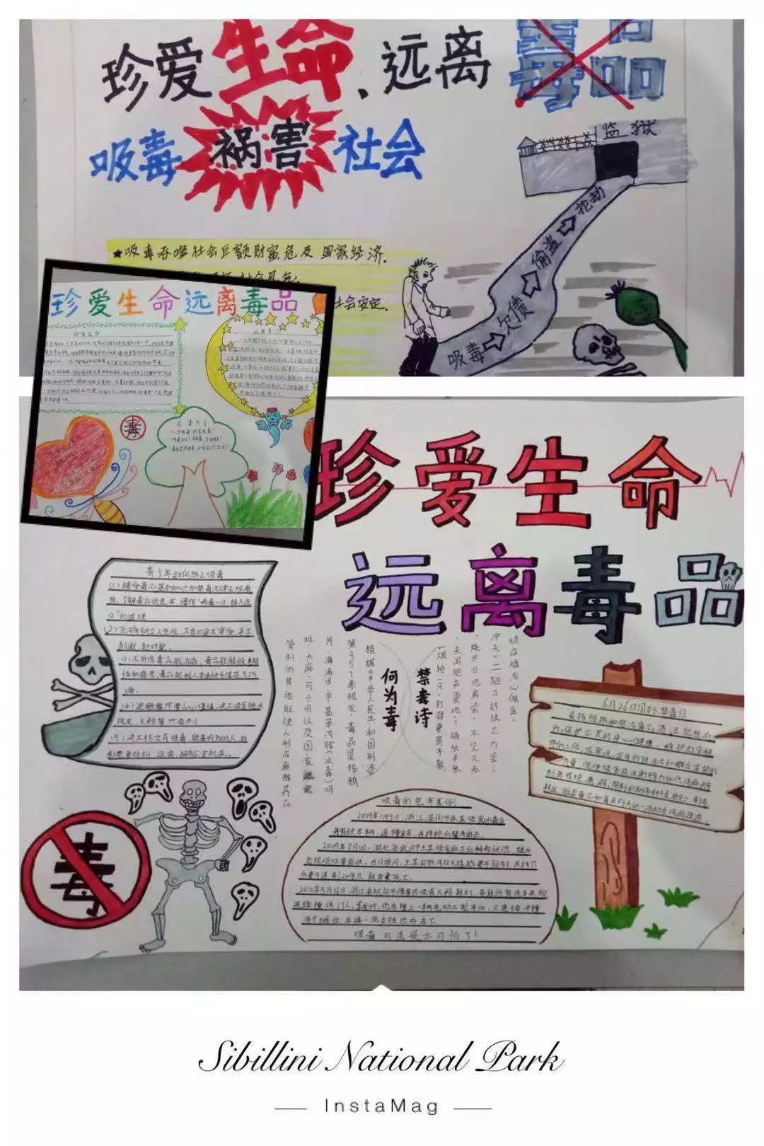 1月3日,三四五年级师生开展"珍爱生命 远离毒品"禁毒主题手抄报展示