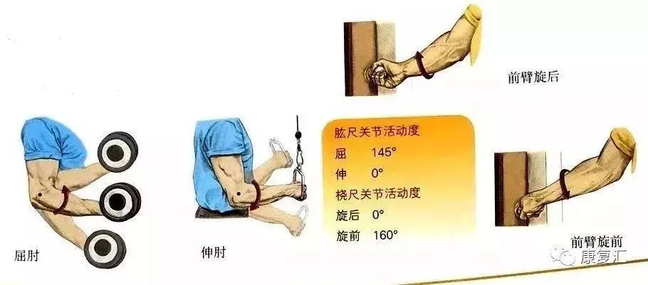 【康复师基础必备】人体各关节活动度漫画图解!_运动