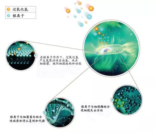 奥克泰士在水族馆消毒灭菌领域的应用