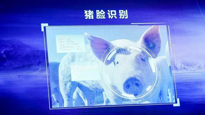 阿里養豬，騰訊種瓜，這幾年互聯網公司也玩「開心農場」 科技 第6張