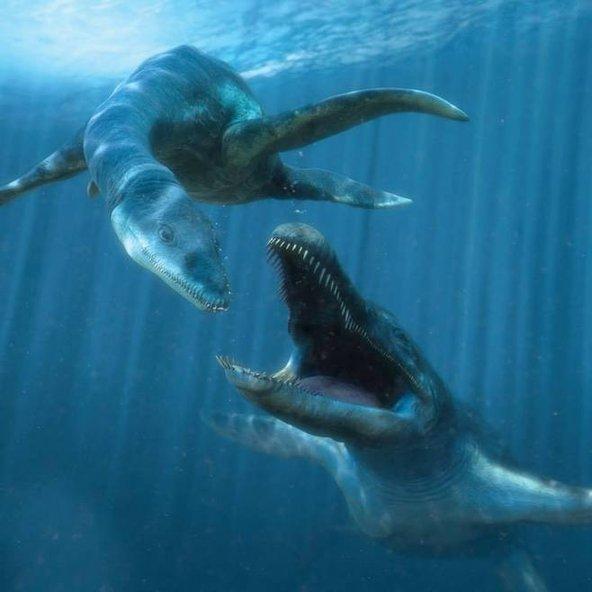 沧龙号称远古海洋霸主,但也难免成为这种鲨鱼的腹中食物