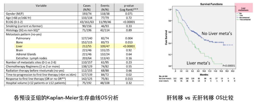 悦然读io | 肺癌肝转移患者是否可以使用免疫检查点抑制剂?