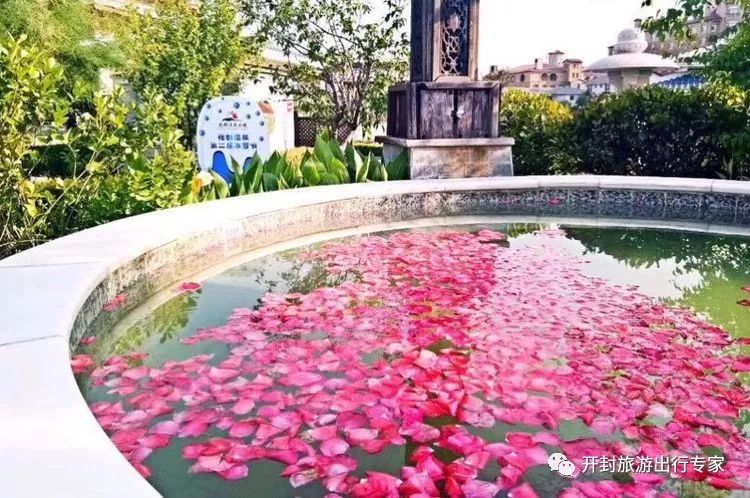 温泉线路【中华蜂蜜园 鄢陵金雨玫瑰温泉一日游】专为中老年人量身