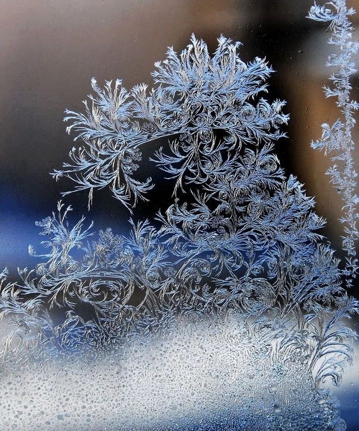 那冰花,纷飞着,雪白色,属于冬季_窗花