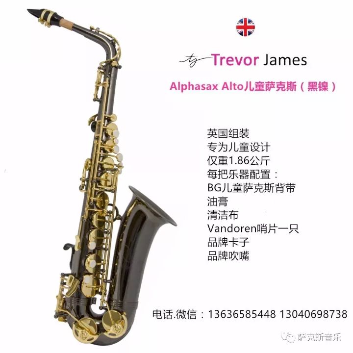 alphasax alto儿童萨克斯系列【trevor james崔佛.詹姆士】