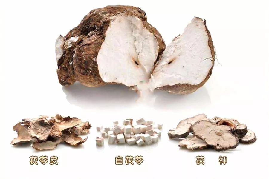 方用 茯苓泽泻汤 .