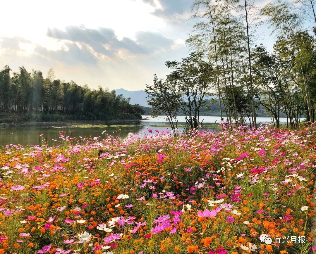 新年伊始,位于阳羡湖畔,总占地500亩的阳羡溪山滨湖公园落成并免费对