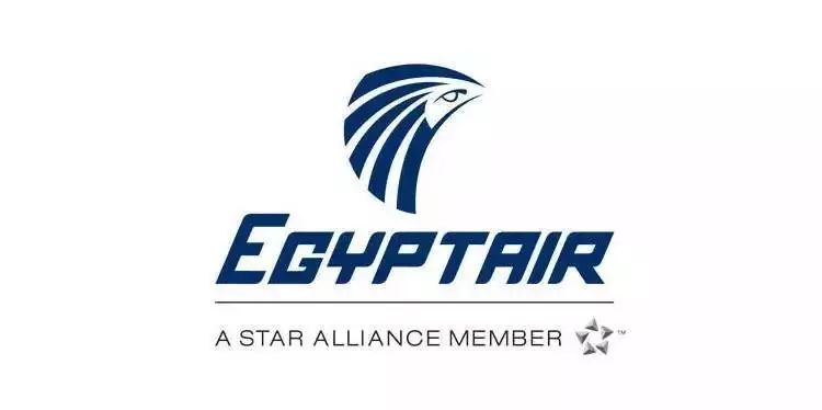 埃及航空现役机型就是以上着9种啦,正是这9个型号的飞机兢兢业业,勤勤