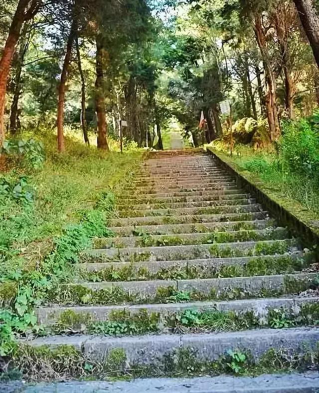 探秘龙马!玉溪龙马山丛林穿越,石城寻宝,大