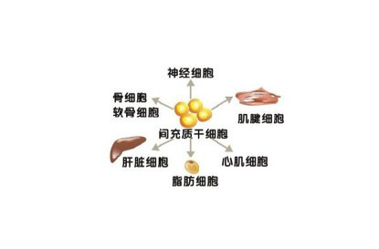 幹細胞移植治療糖尿病從實驗室到臨床還要多久？ 科技 第2張