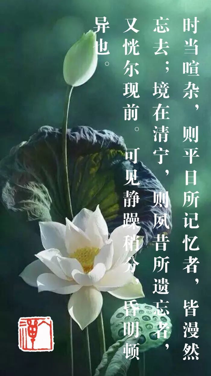 躁极则昏,静极则明|白话菜根谭