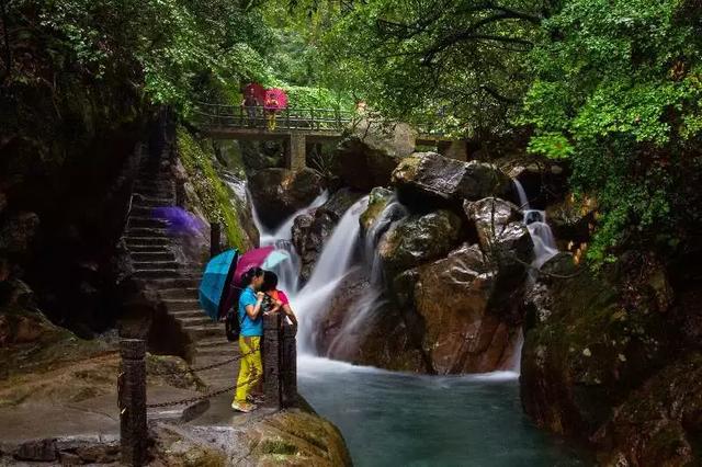 热烈庆祝九华神龙谷景区喜获国家4a级景区批准