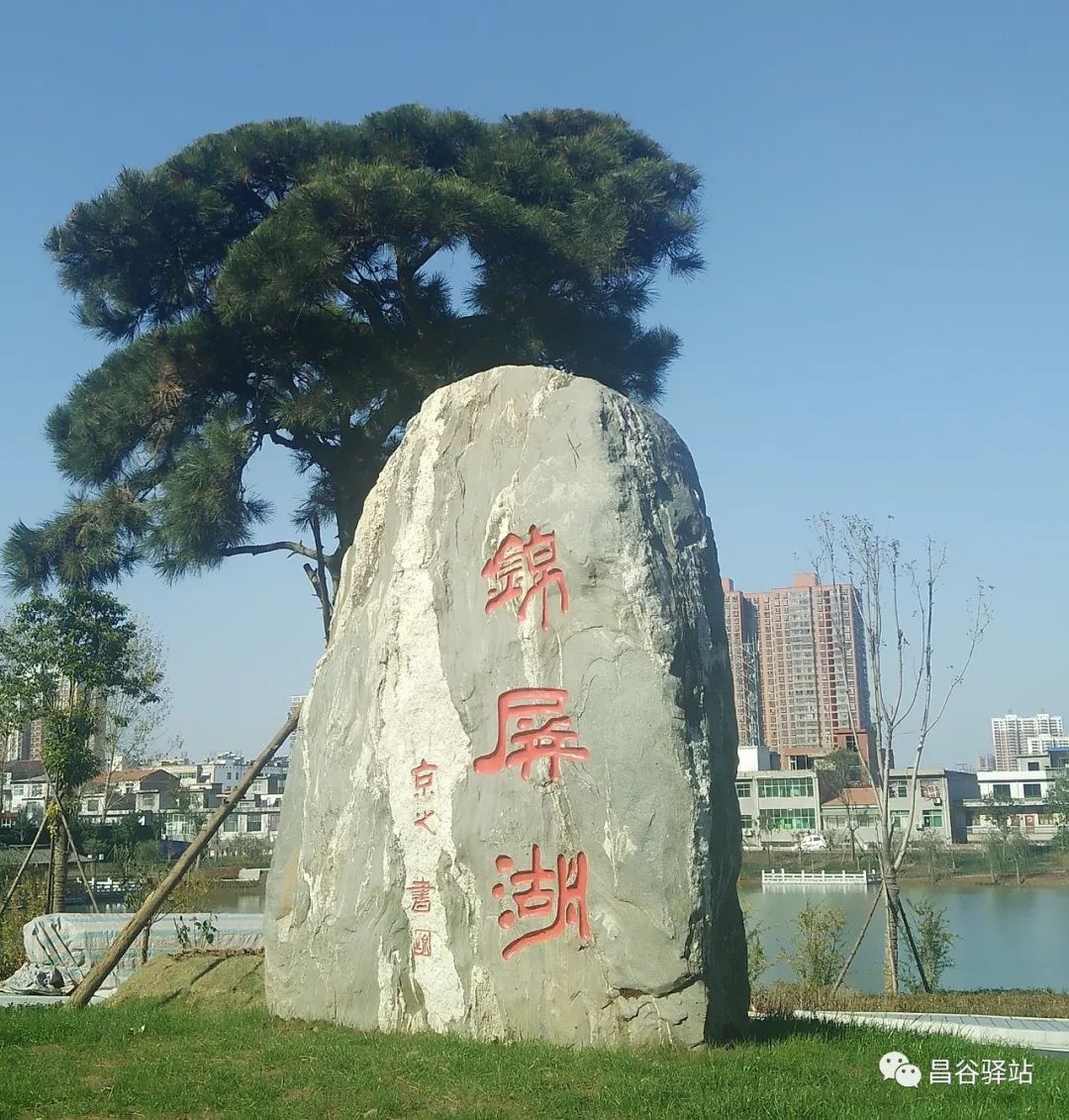 家在宜阳城