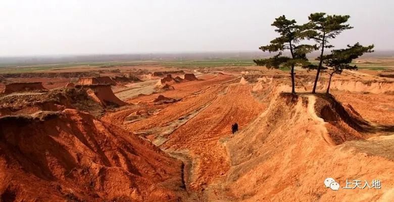 卫星上看郯城地震遗迹再如山东郯城地震活断层遗址,在地震的马陵山