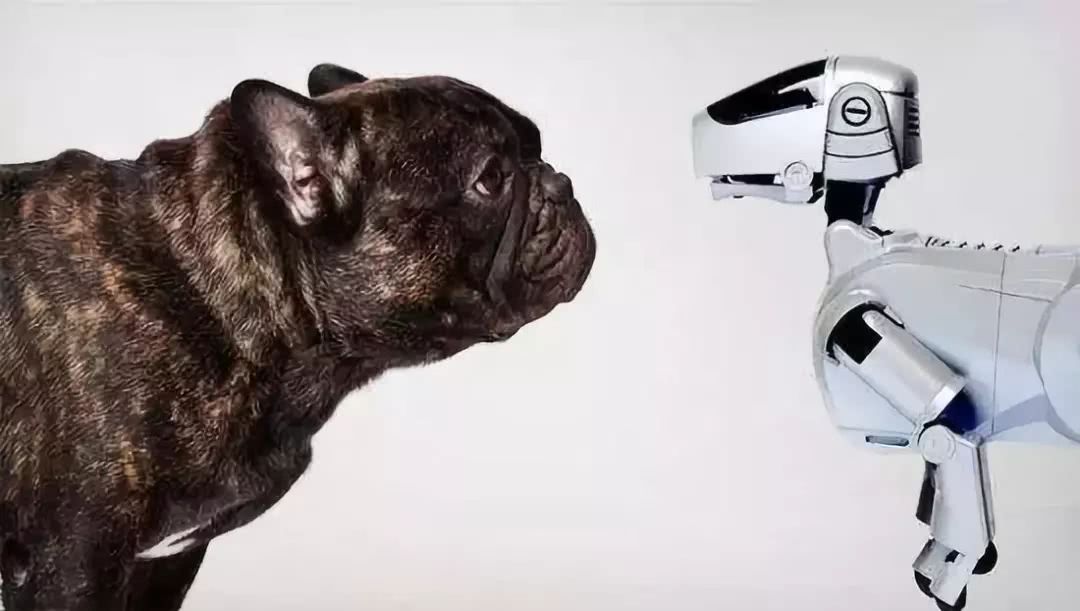 在文子看来,机器狗不仅仅是一种虚拟宠物,还是未来异形体的机器人.