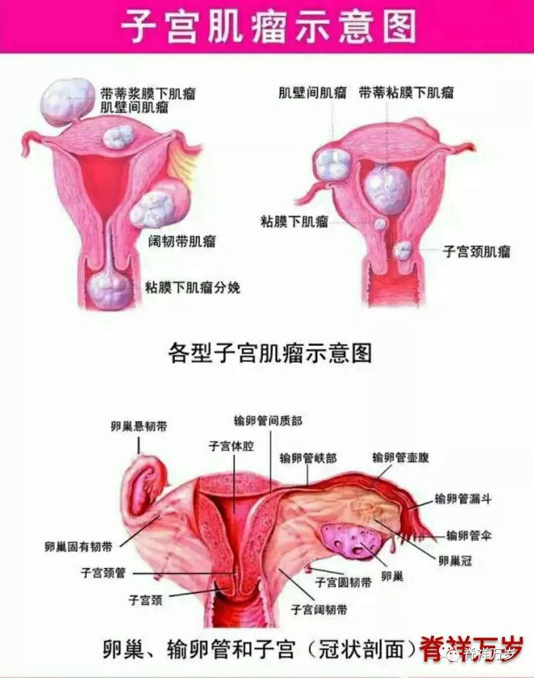 哺乳期小肠火怎么办