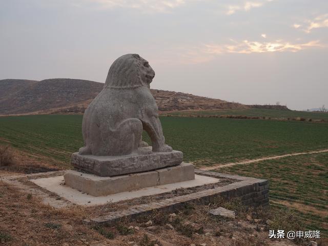 唐泰陵西门:寻访孤独的石狮子