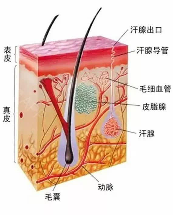 大S揭女藝人與汗腺的鬥爭史，張雨綺有狐臭是真是假 娛樂 第12張