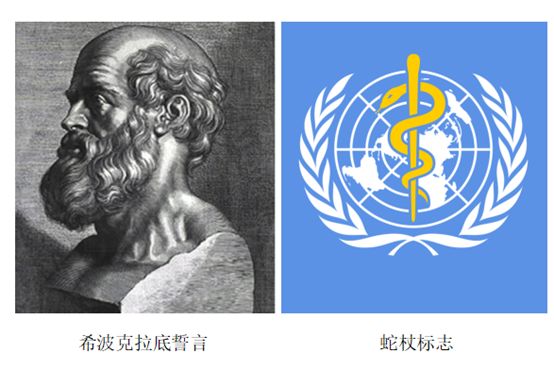 就连 世界卫生组织的logo,蛇杖的标志也起源于希腊,蛇代表着古希腊