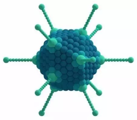 刷爆朋友圈的腺病毒真有这么可怕吗疾控这样说