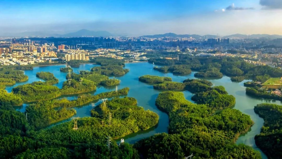 大浪茜坑水库