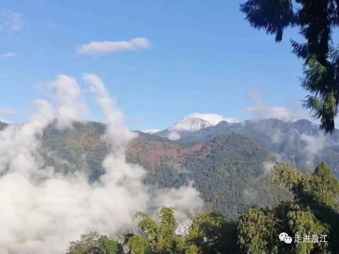 来盈江大娘山看雪,探秘原始森林