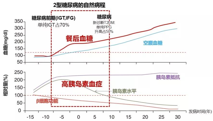 查血检查结果胰岛素含量超标是什么意思?和肥胖有关吗?