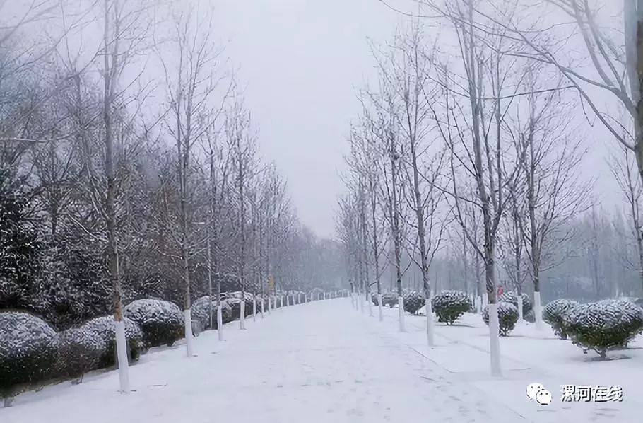 漯河最美的雪景都在这儿