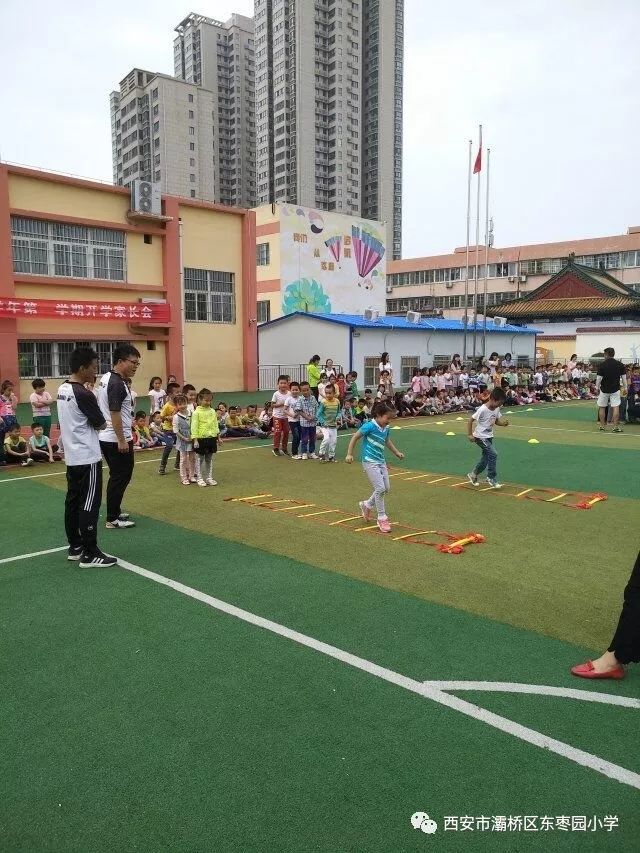 东枣园小学2019年教师招聘公告