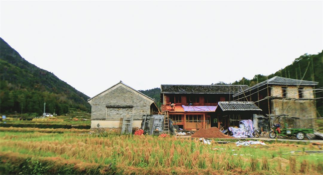 红色领航双百双千党建样板村乐清市芙蓉镇西塍村