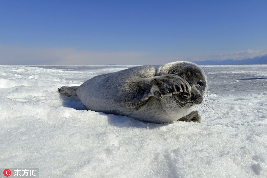 摄影师拍贝加尔湖在世界尽头邂逅冰雪奇缘