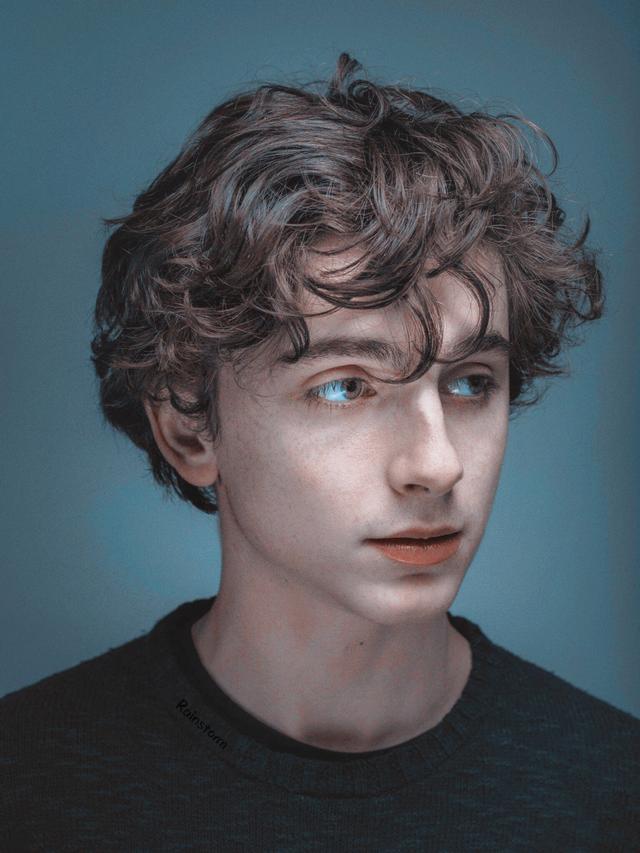 94%OFF!】 Timothee Chalamet まとめ売り ecousarecycling.com