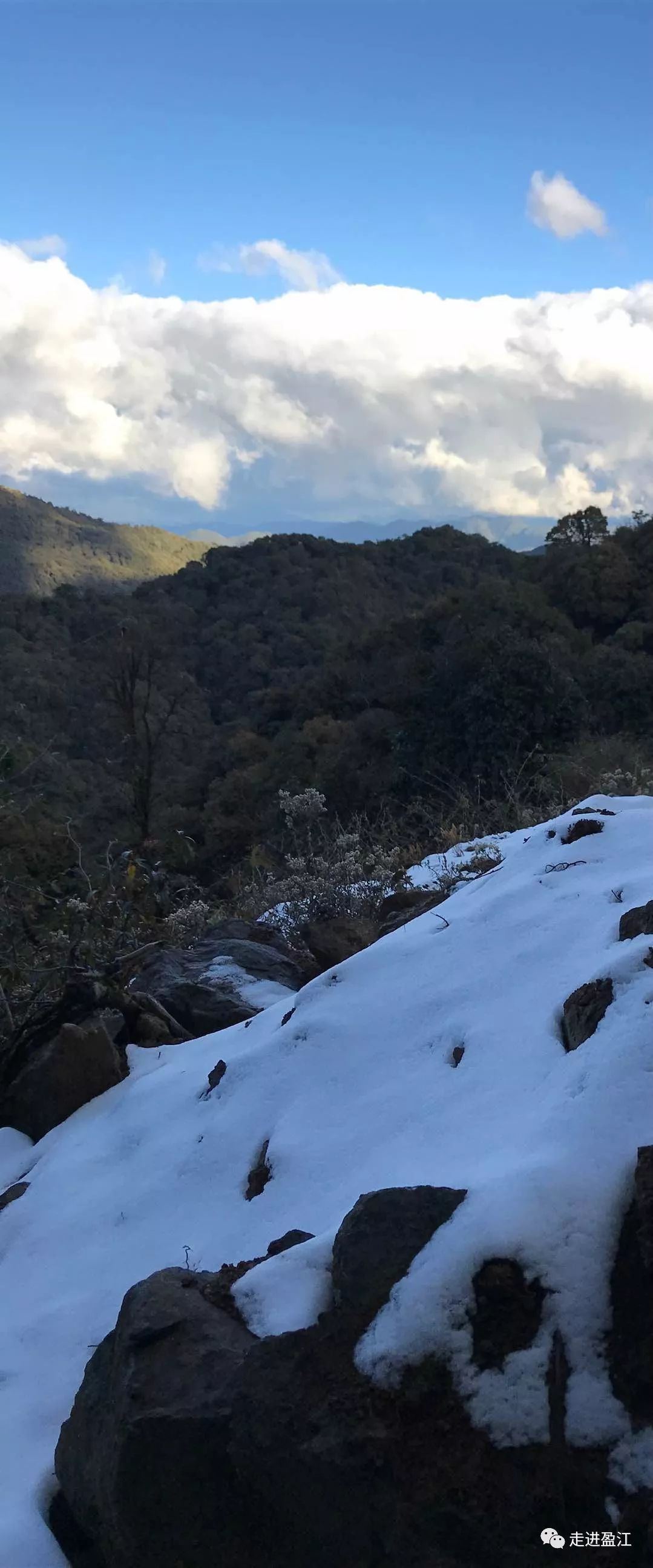 来盈江大娘山看雪探秘原始森林