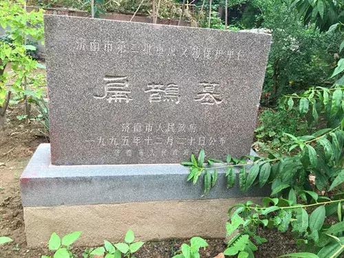 神医什么成语_五毒神医是什么呀