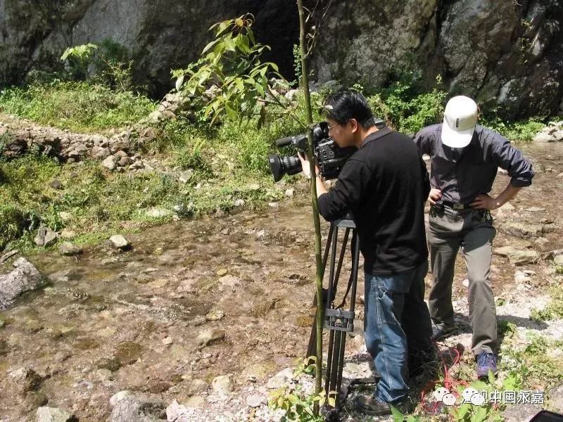 永嘉多少人口_永嘉麦饼